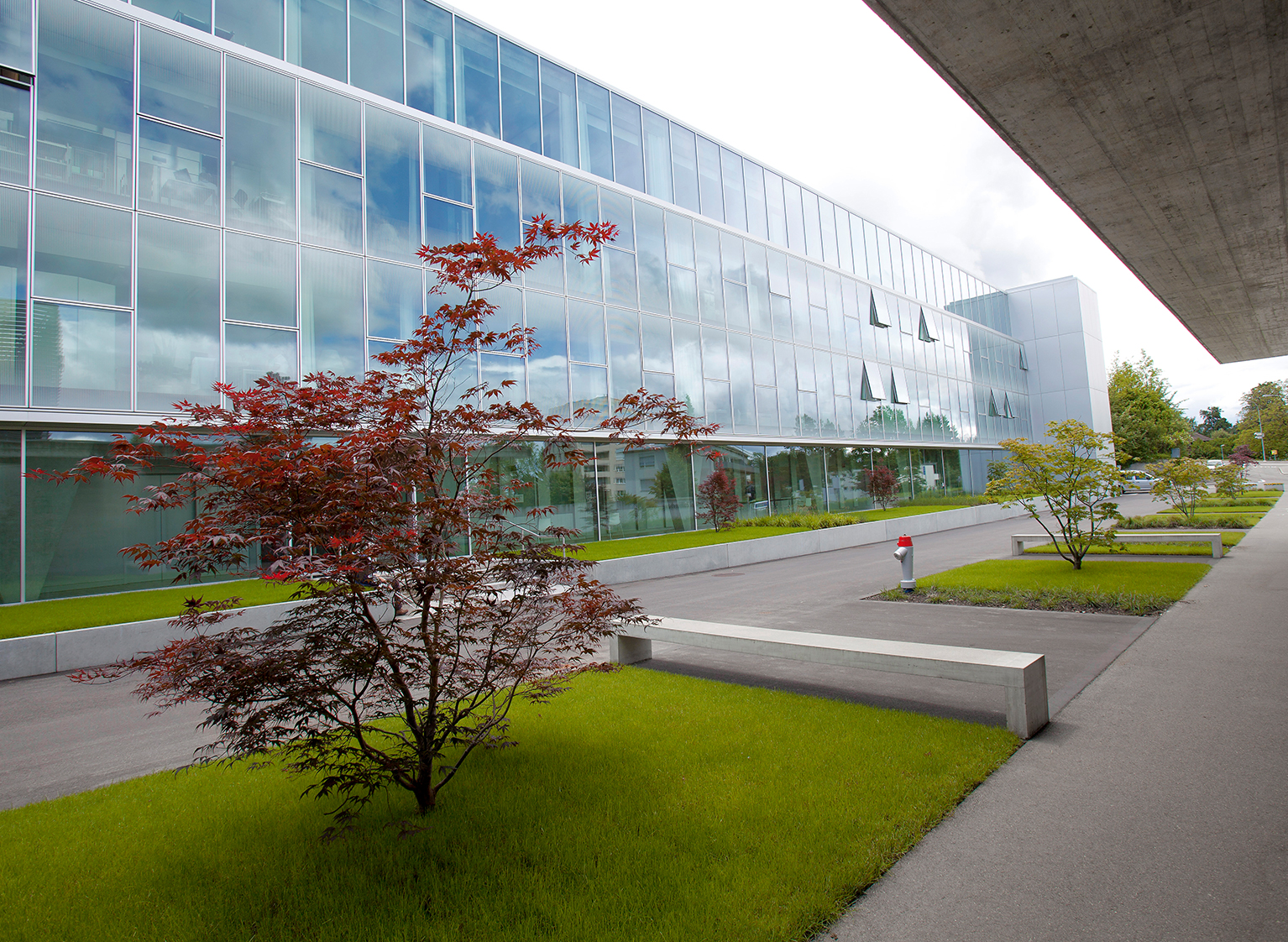 Reha Zollikerberg Preview